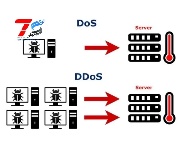 Tấn công từ chối dịch vụ/Từ chối dịch vụ phân tán (DoS/DDoS)